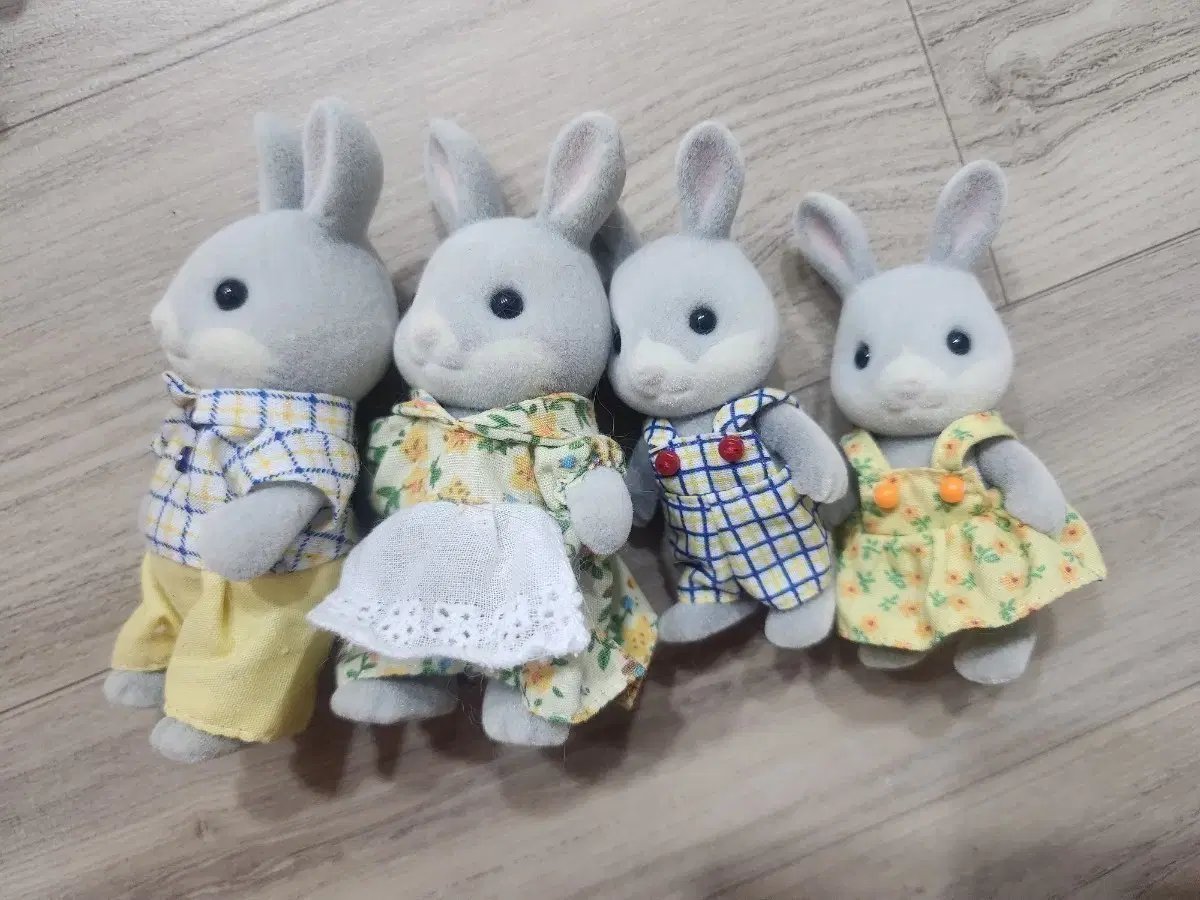 Sylvanian Somyi Family