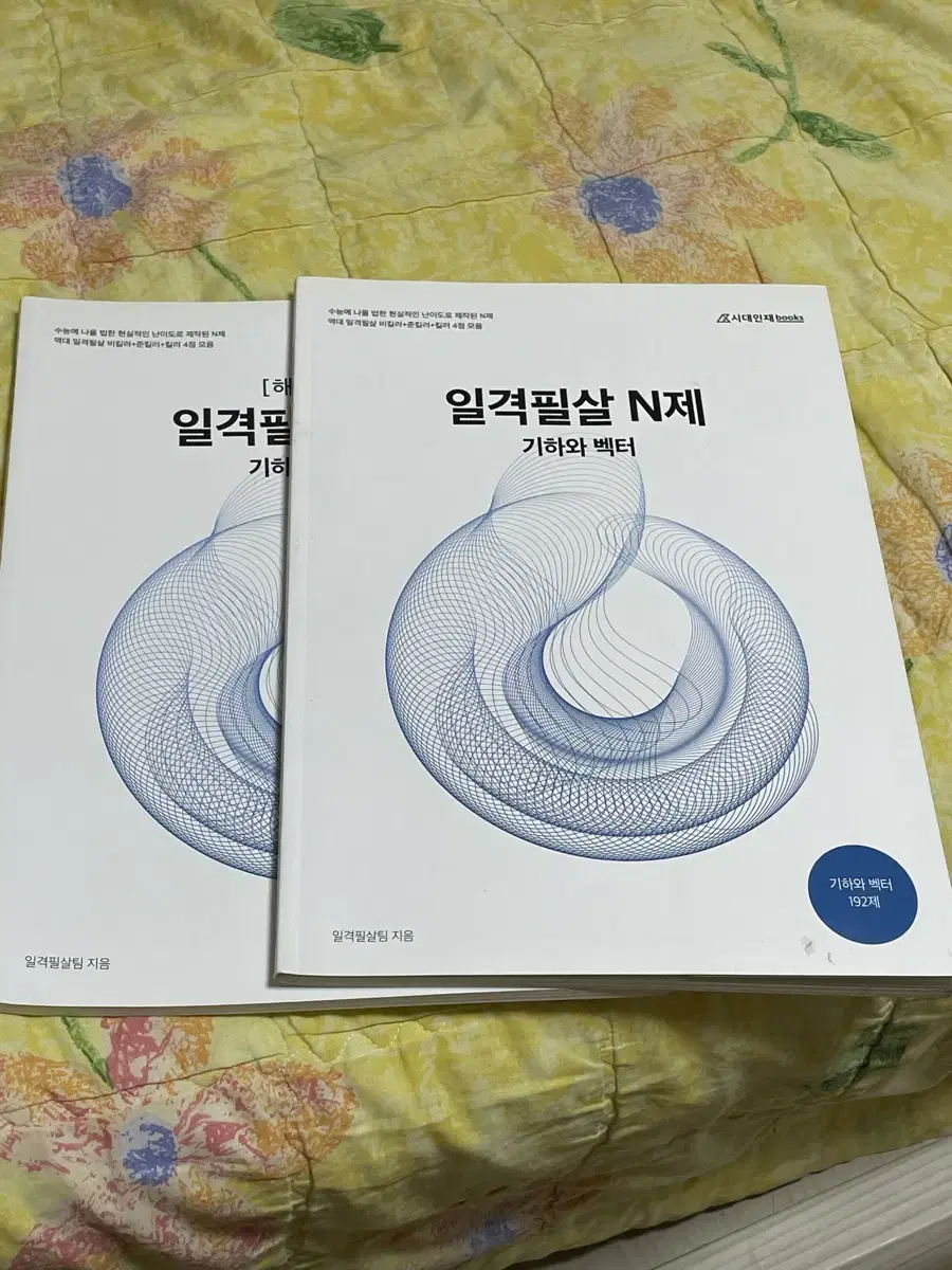 시대인재 일격필살 n제 기하와벡터