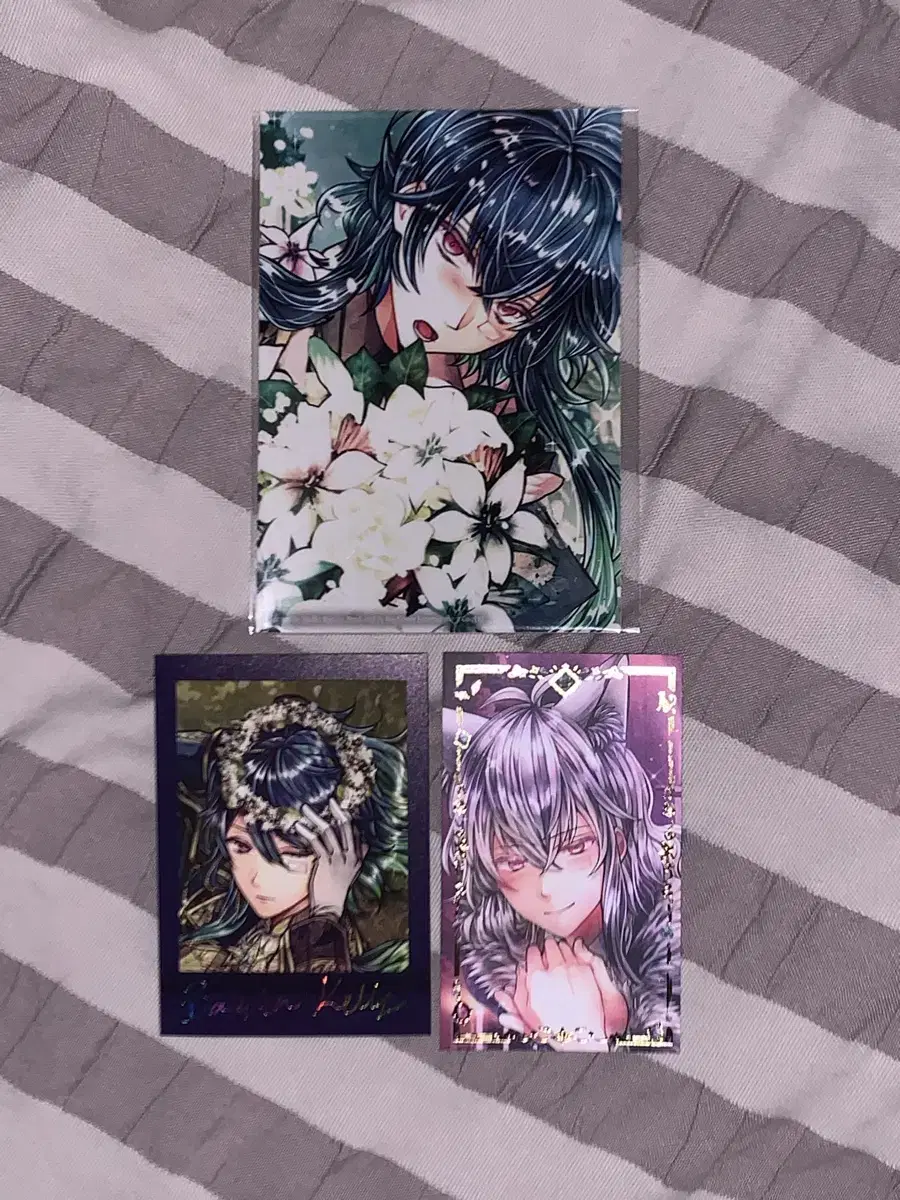 Demon Butler and Black Cat Akuneko Bastien Photocard Batocore Rare Pasha Wts.