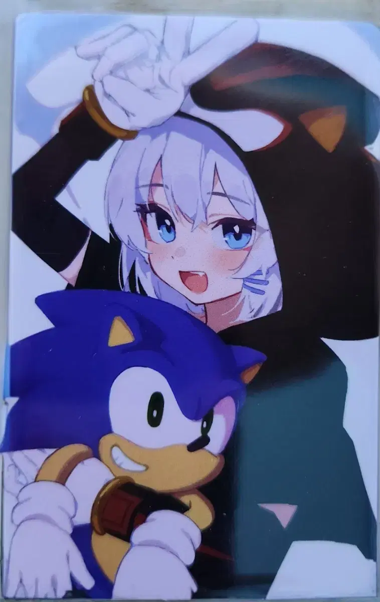 Gosegu Sonic Photocard