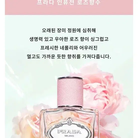 프라다 레스 인퓨전 오드퍼퓸 로즈 100ml 팝니다