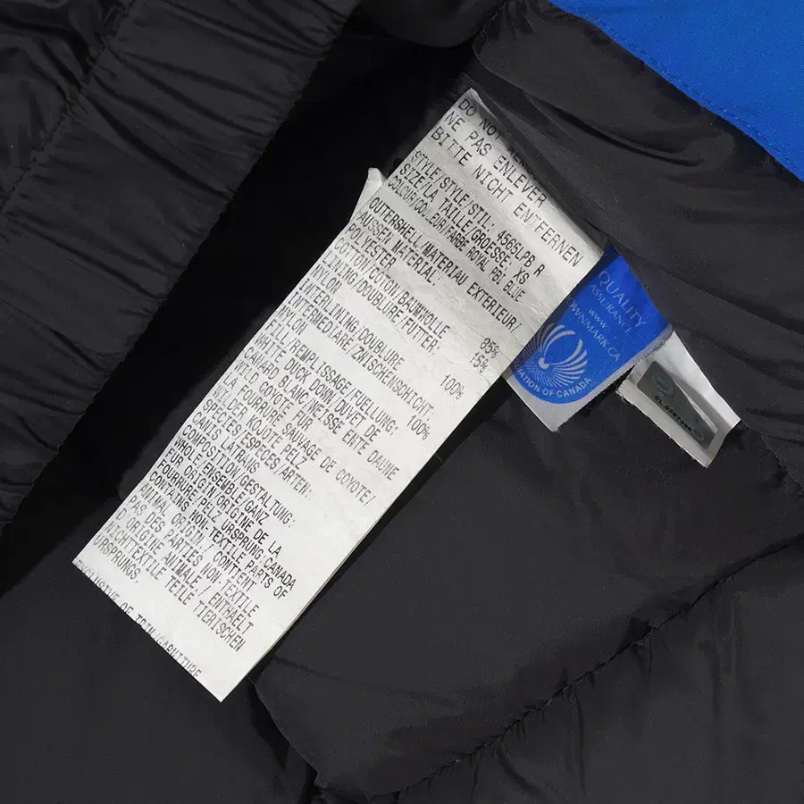 CANADA GOOSE down jacket