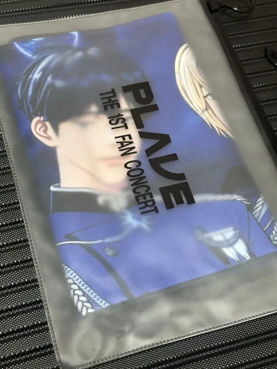 Plave Concert Slogan