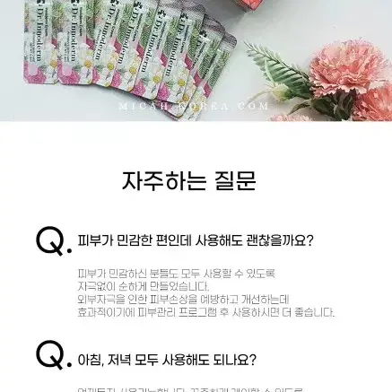 닥터이노덤 코스메틱 포뮬러 리페어크림 꽃무늬 이노덤 100ea Box