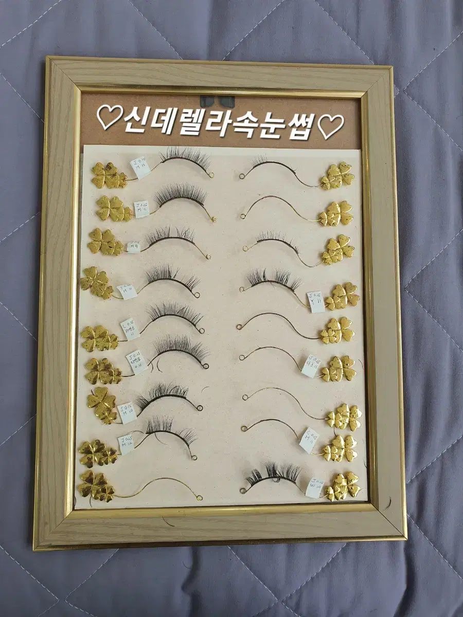 속눈썹연장모