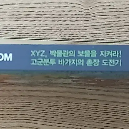 호박돌 우리문화 CD - XYZ 박물관의 보물을 지켜라, 고군분투