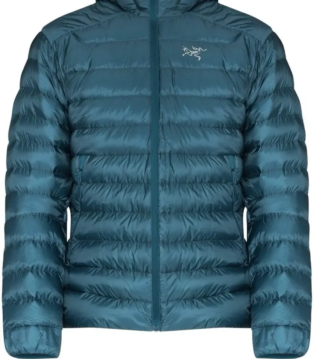 [L] 아크테릭스 Arcteryx 세륨sv Cerium SV