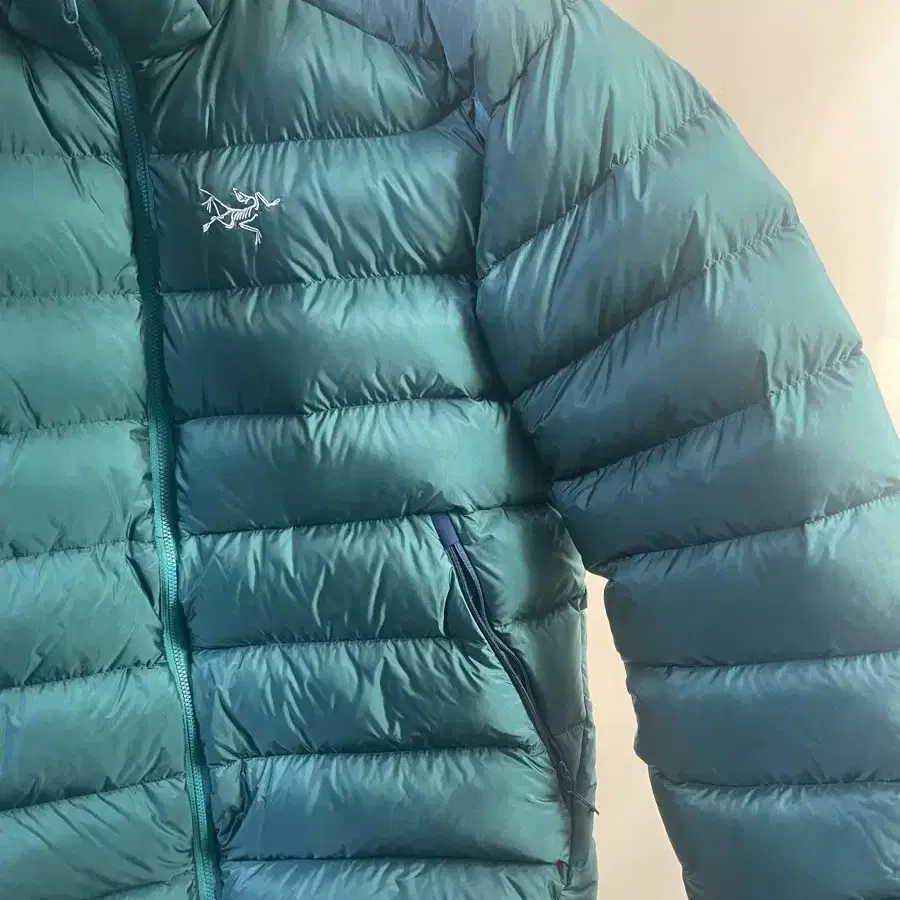 [L] 아크테릭스 Arcteryx 세륨sv Cerium SV