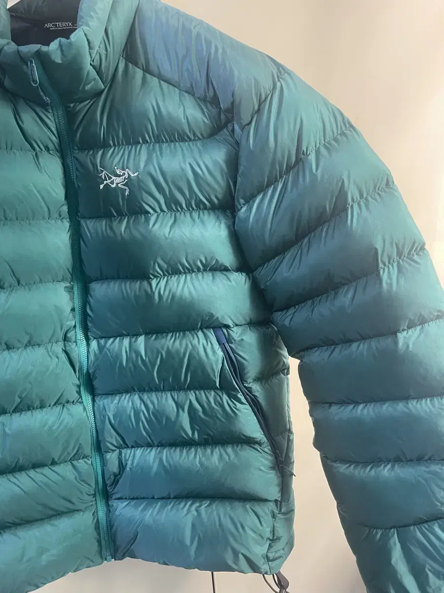 [L] 아크테릭스 Arcteryx 세륨sv Cerium SV