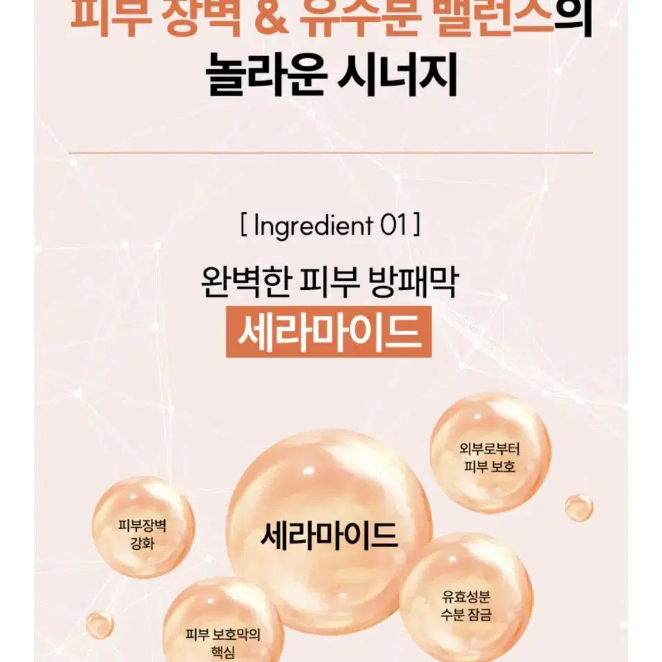 니즈낫 세라마이드 베리어크림 150ml (정가45000원)