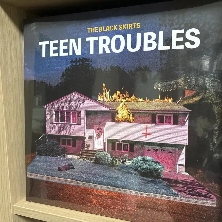 (프로상점) 검정치마 틴트 Teen troubles LP