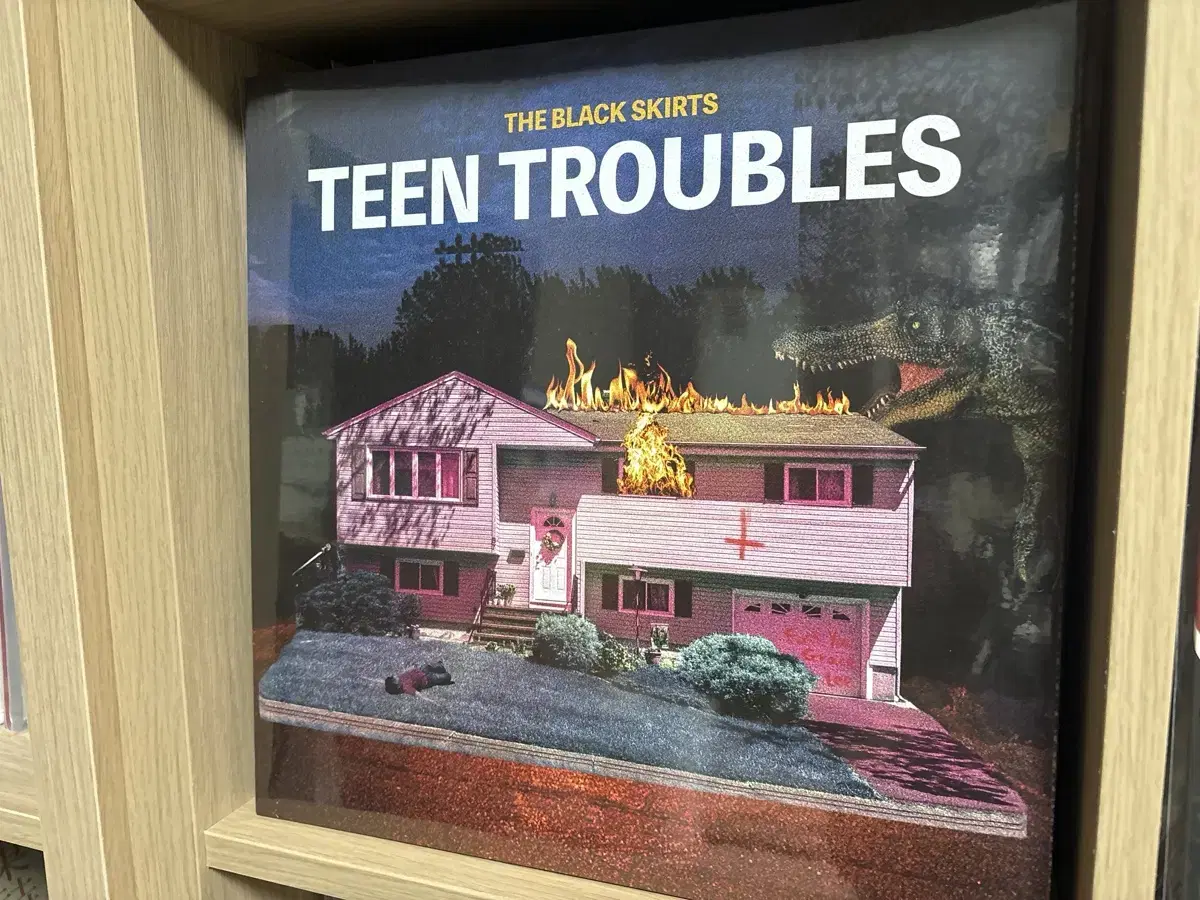 (프로상점) 검정치마 틴트 Teen troubles LP