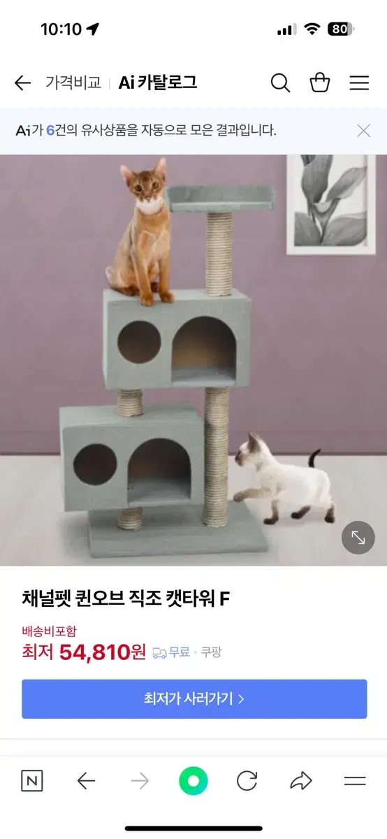 채널펫 캣타워 고양이