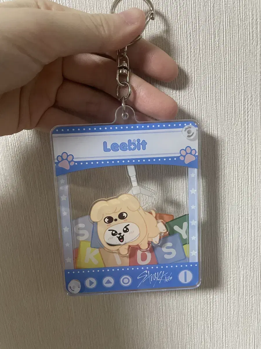 Cost wts) skzoo Leavitt Japan MD Toyworld acrylic Keychain lee know Keyring