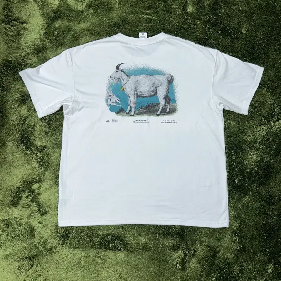 [XXL] 나이키 ACG goat 고트 티셔츠 화이트