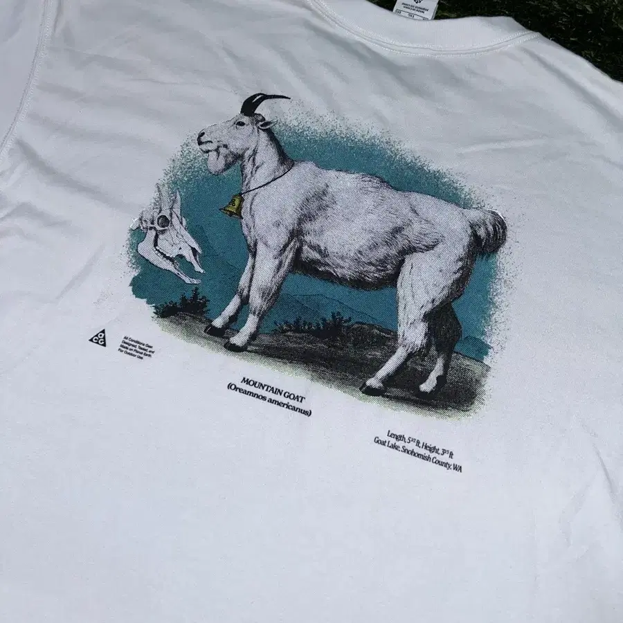 [XXL] 나이키 ACG goat 고트 티셔츠 화이트