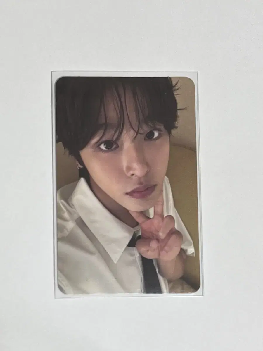 Anthony Wish Steady Q riku photocard WTS