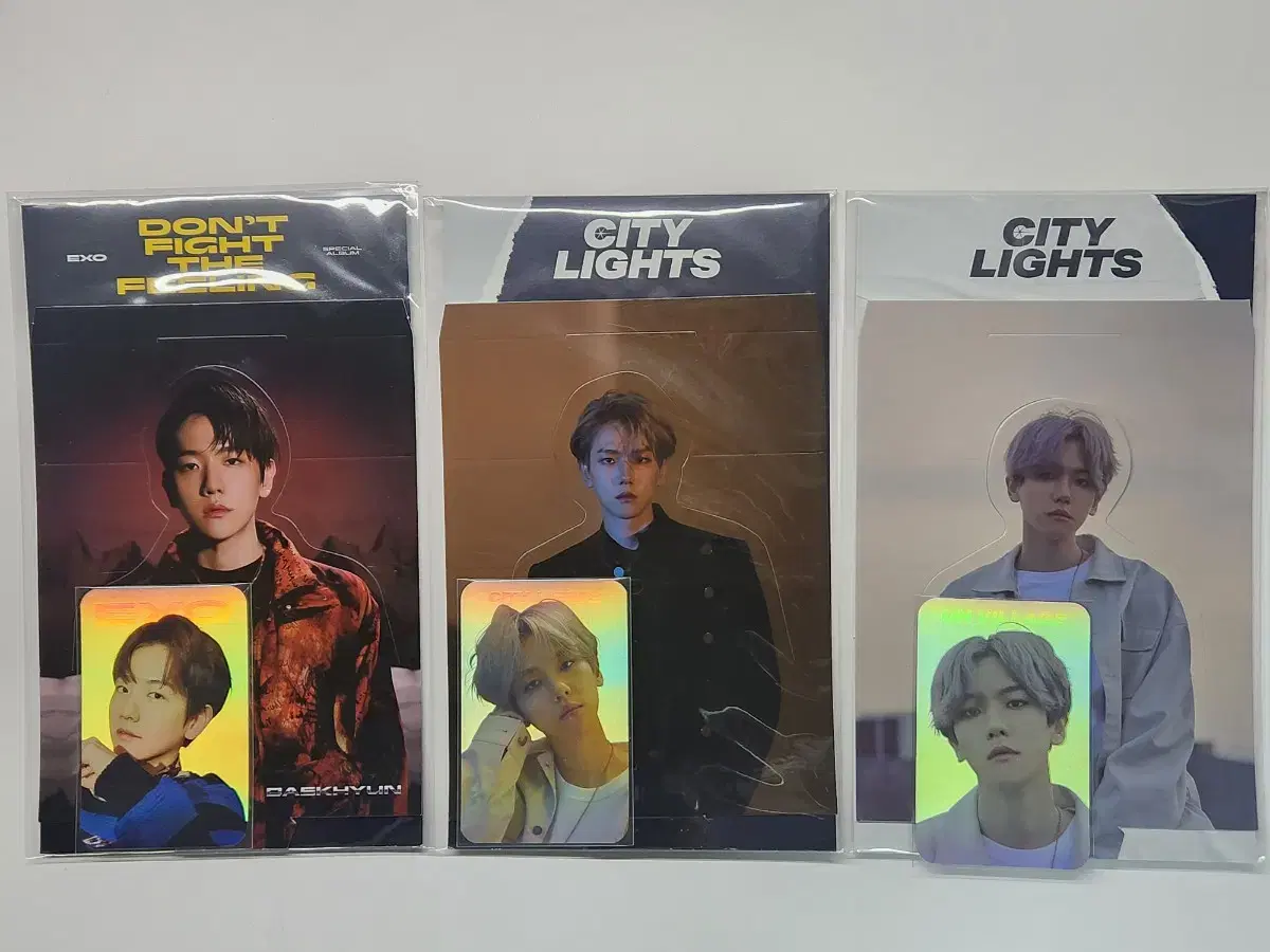 Exo baekhyun Don Papil City Lights Dey, Night Version Holka hologram Photocard