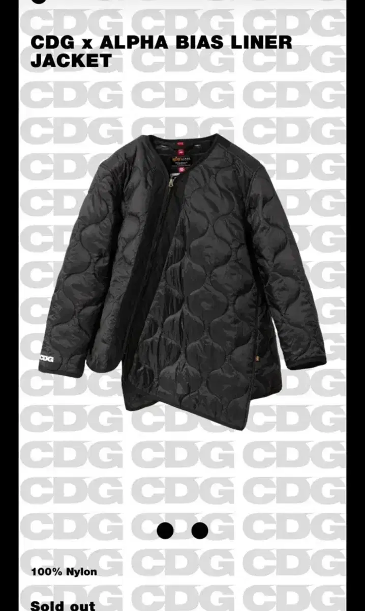 CDG 알파 바이어스 라이너 자켓 블랙 XL