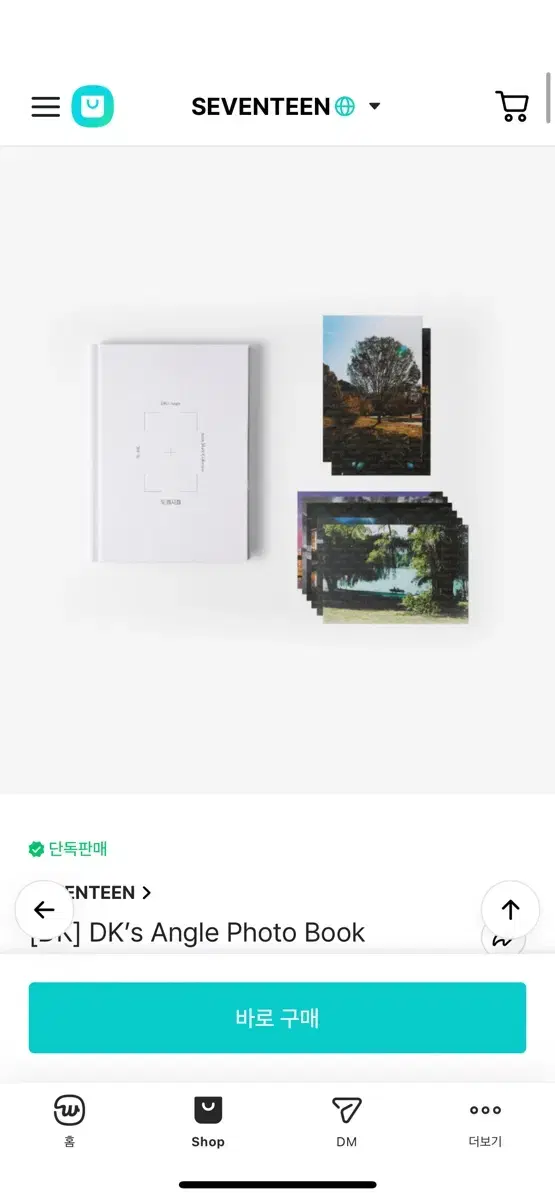 Seventeen Artists May dk Photobooks