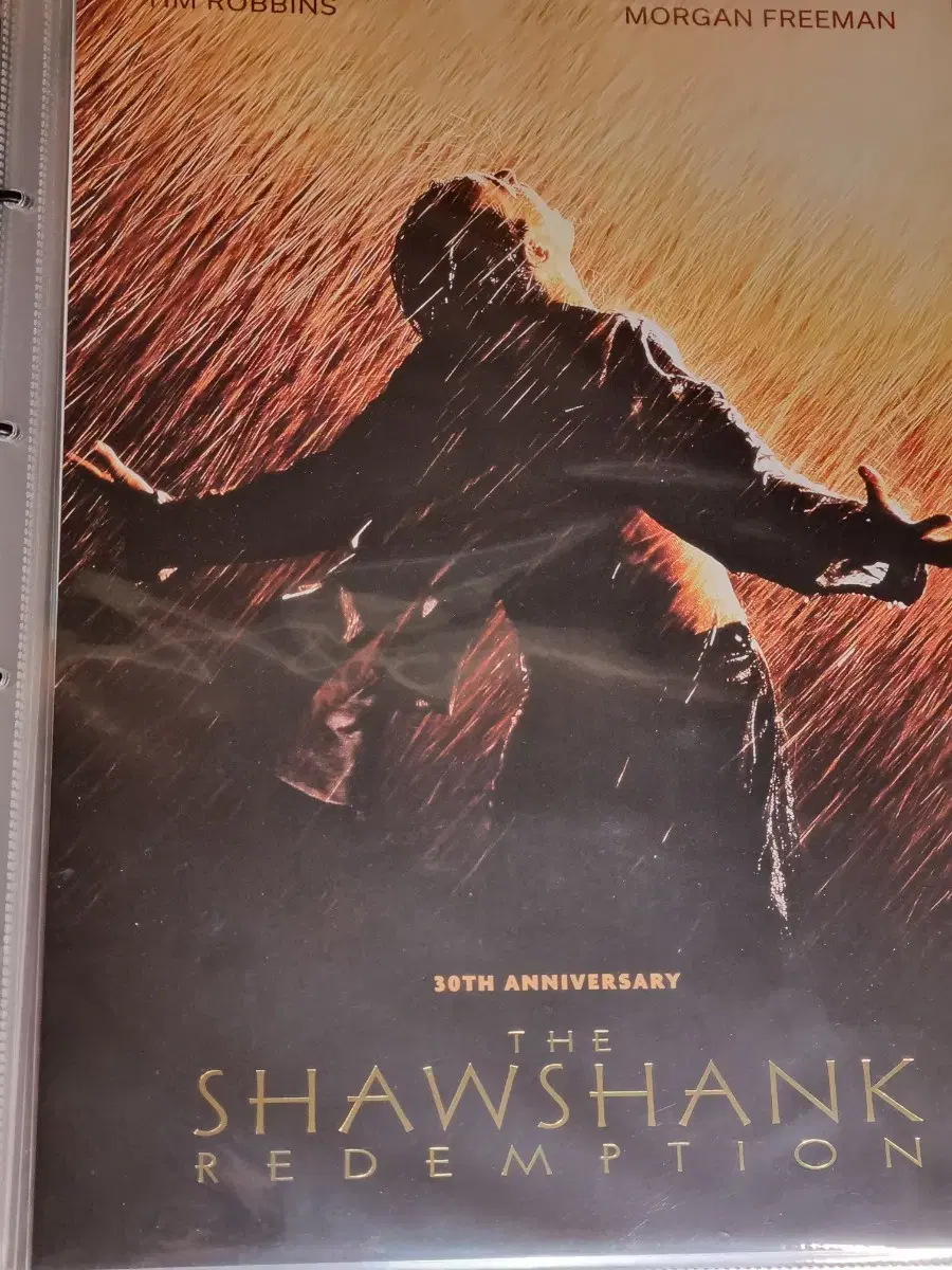 The Shawshank Redemption, The Pianist, Léon, and more poster Sell 16 copies bulk 