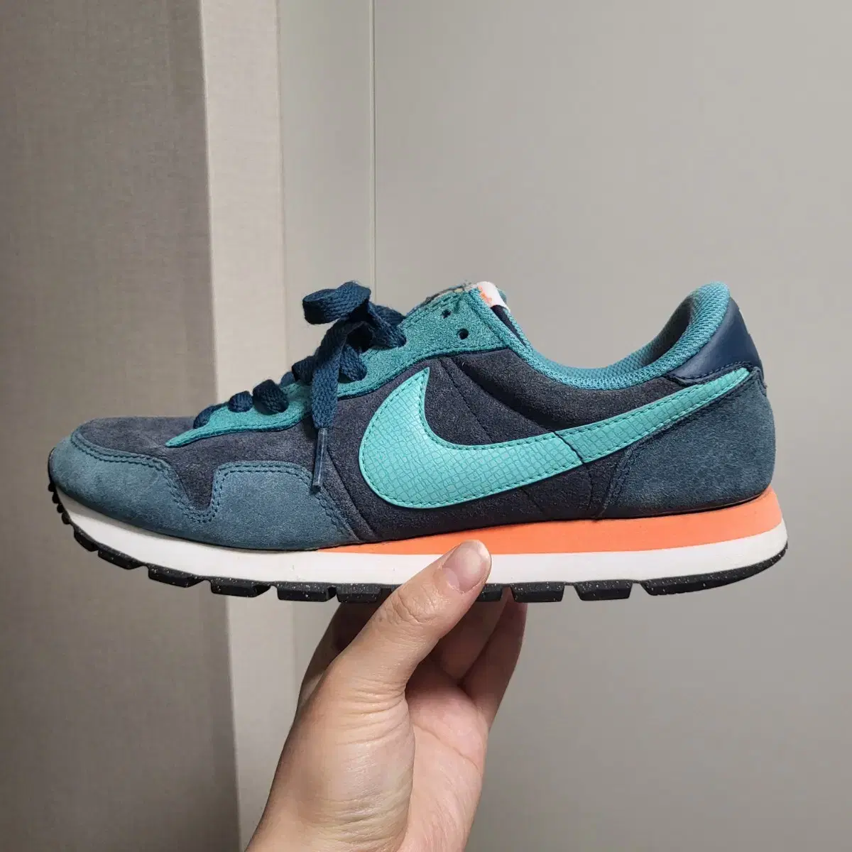 Nike 나이키 Air Pegasus 83 (260)