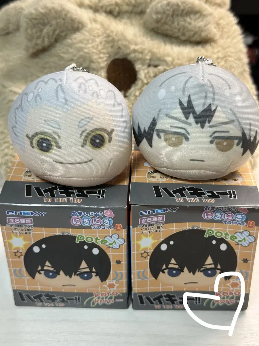 Haikyuu Manju