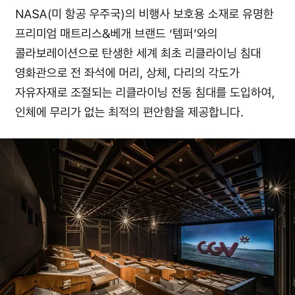 CGV 씨네드쉐프 영화 만원 할인 대리예매