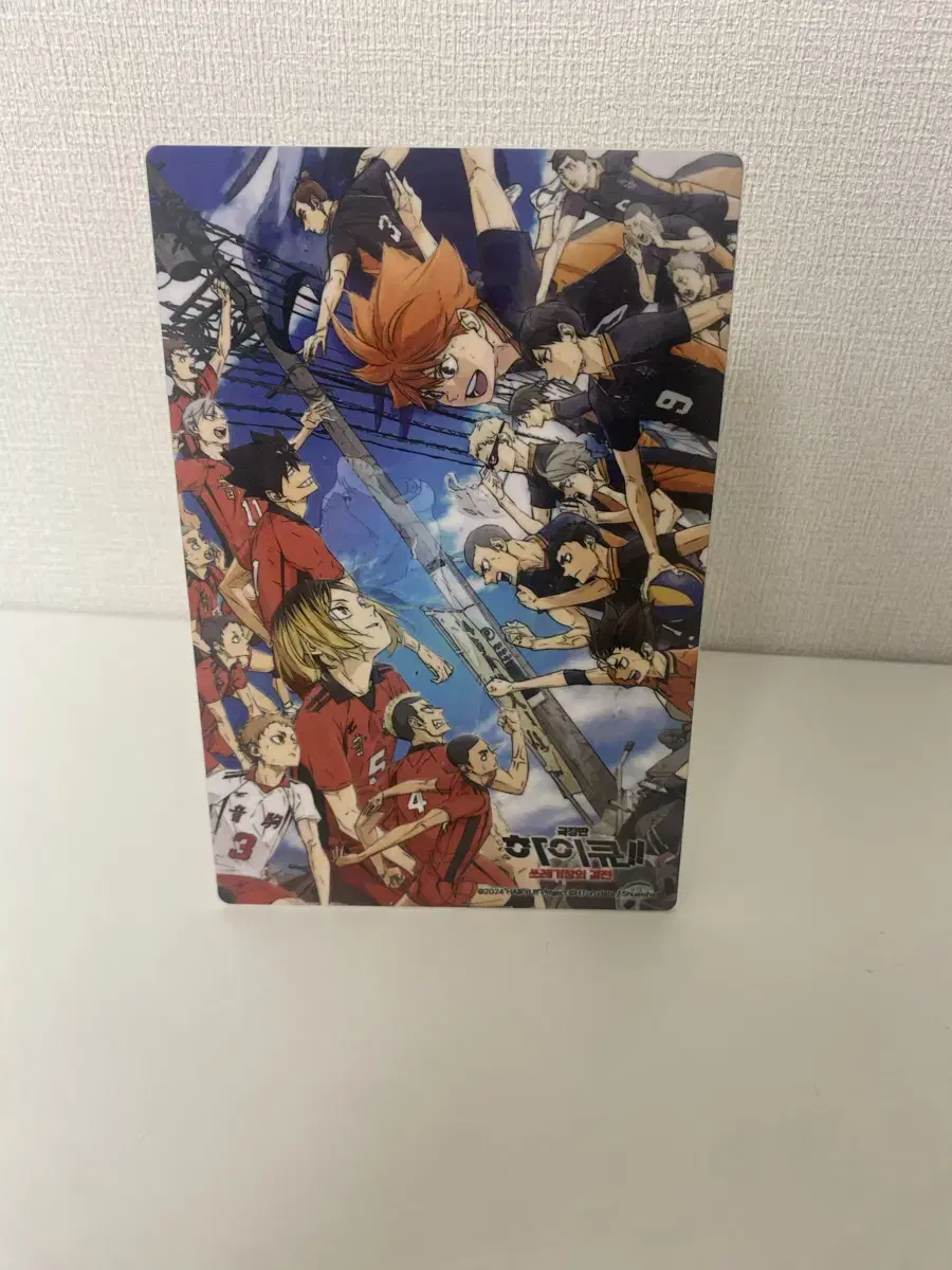 Haikyuu Junkyard's Dueling Metal Picture Frame