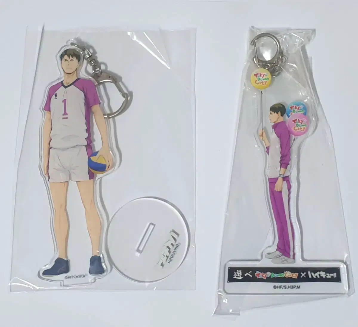 Haikyuu Ushijima Keyring