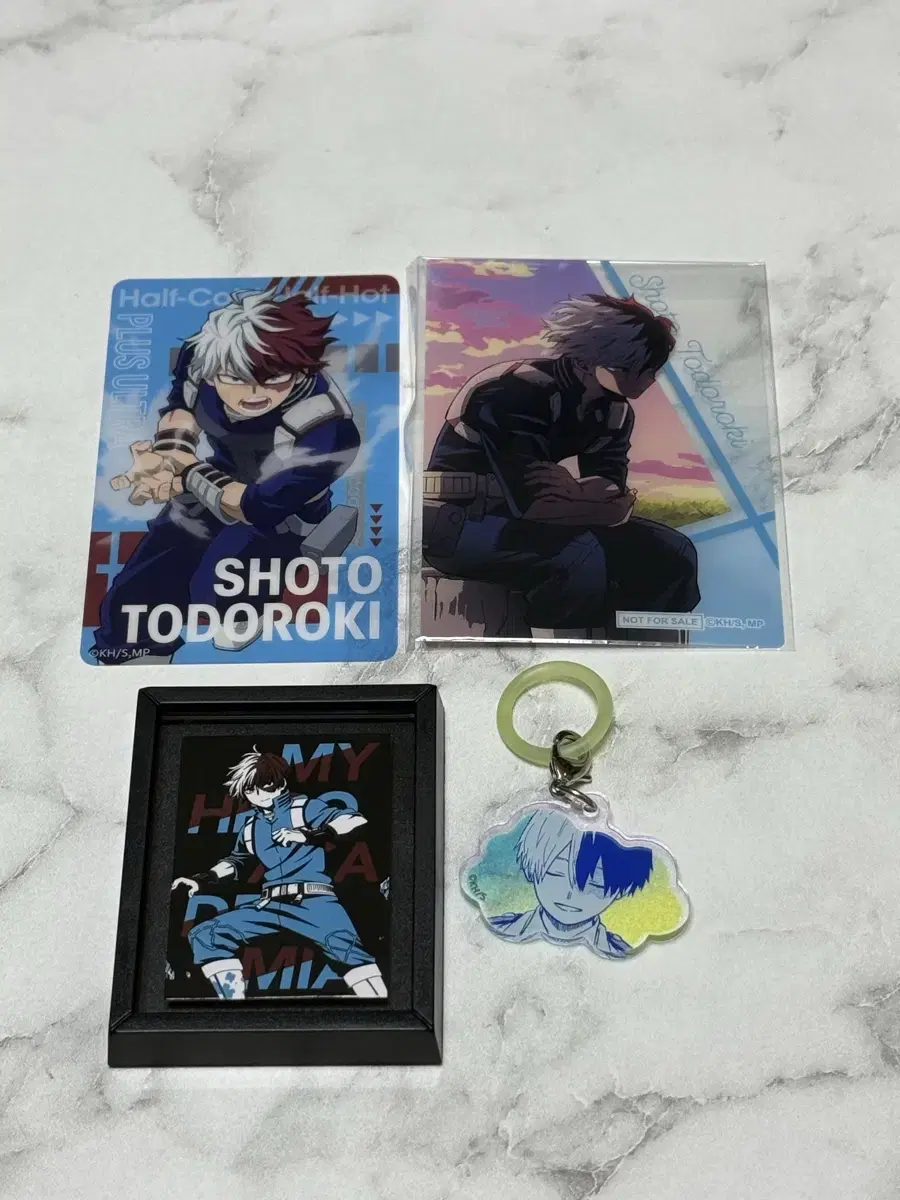 Hiroaka Goods _ Todoroki Shoto Bulk