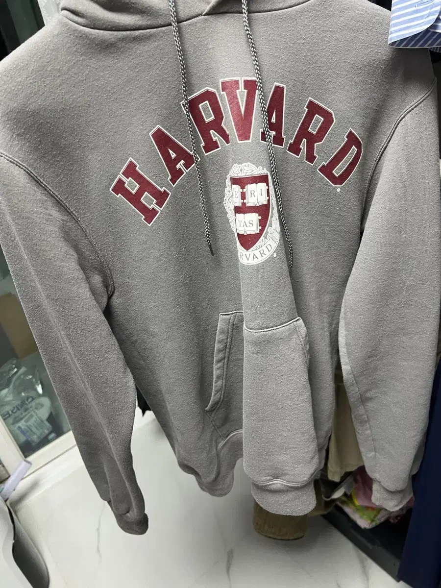 Vintage Harvard Champion Hoodie