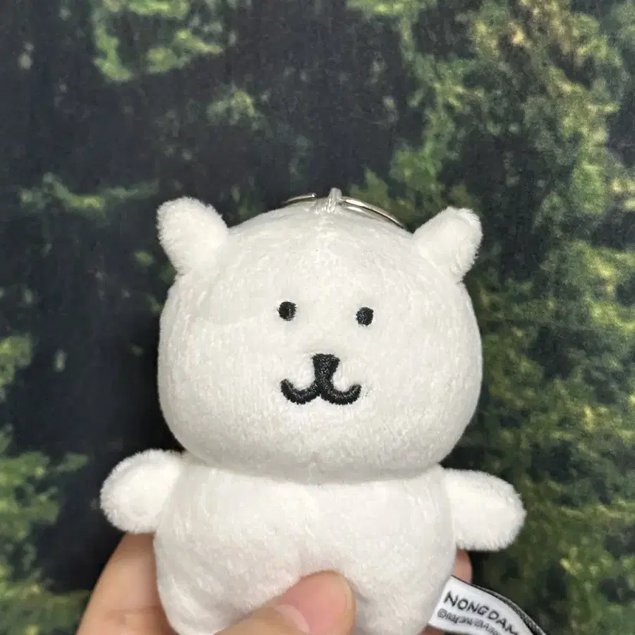 농담곰 8cm 인형 돈앤돌스 담곰이 마스코트 비플랏 키링 나가노마켓