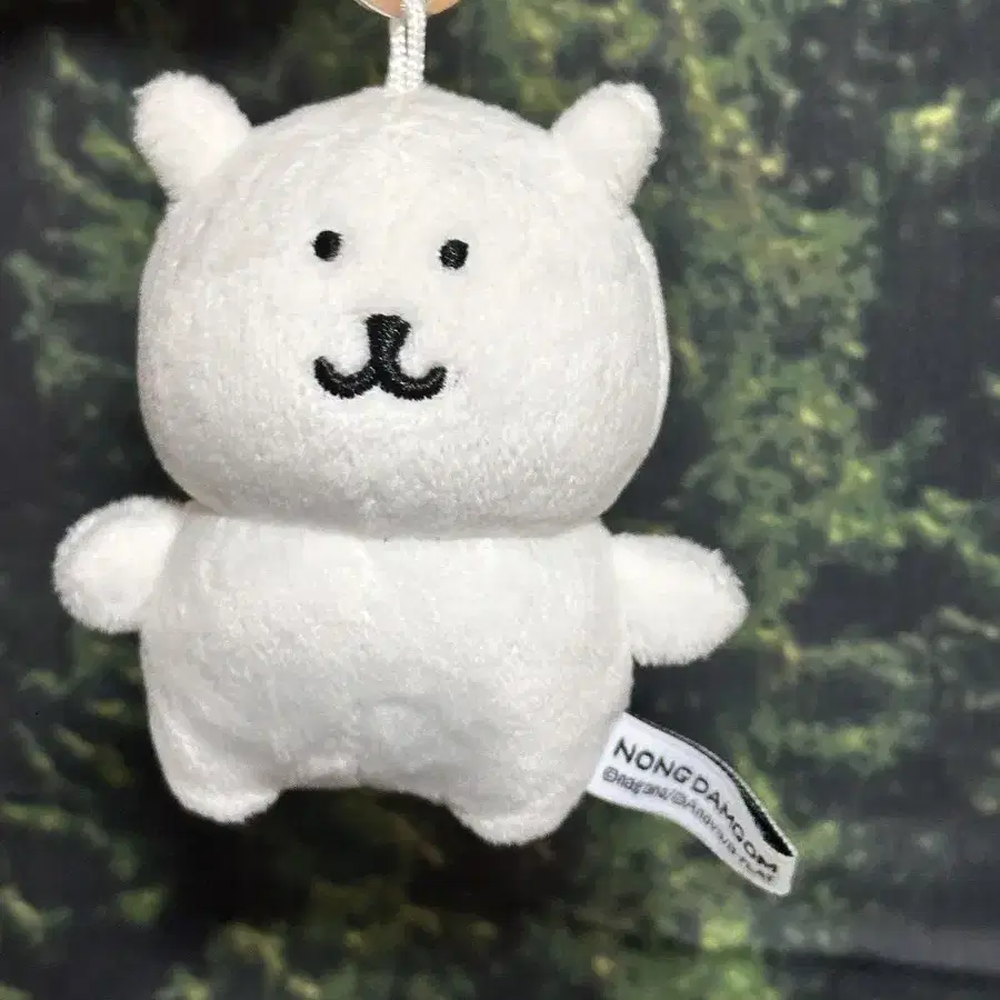 농담곰 8cm 인형 돈앤돌스 담곰이 마스코트 비플랏 키링 나가노마켓