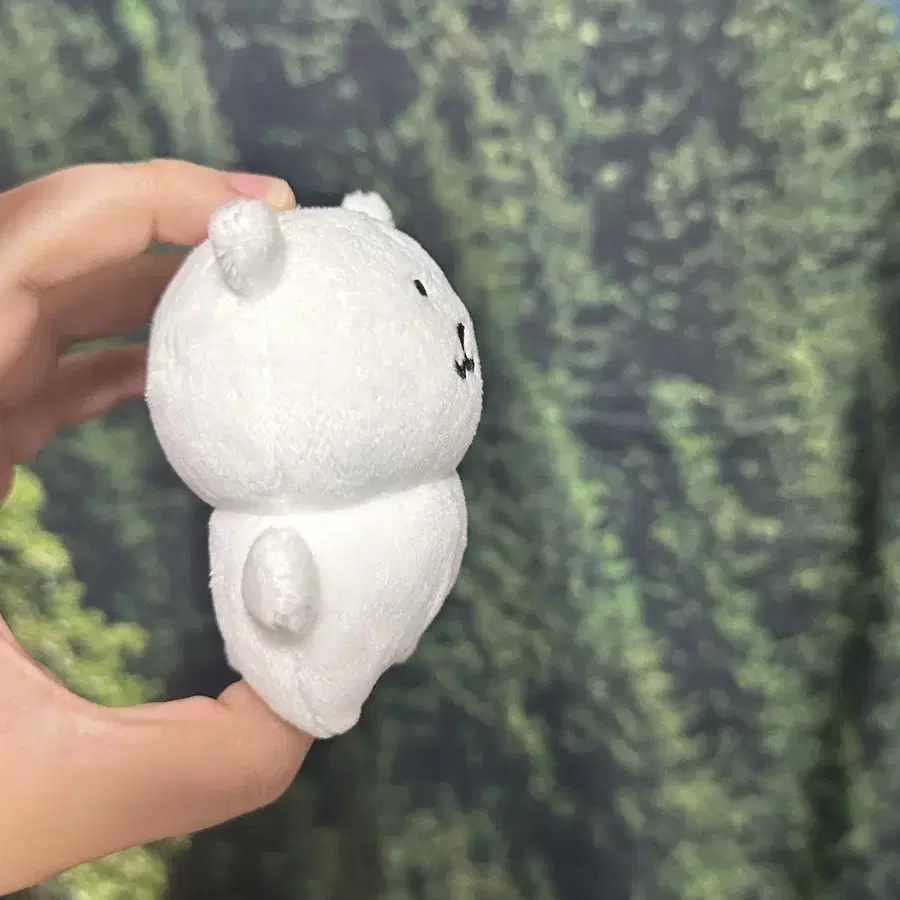 농담곰 8cm 인형 돈앤돌스 담곰이 마스코트 비플랏 키링 나가노마켓