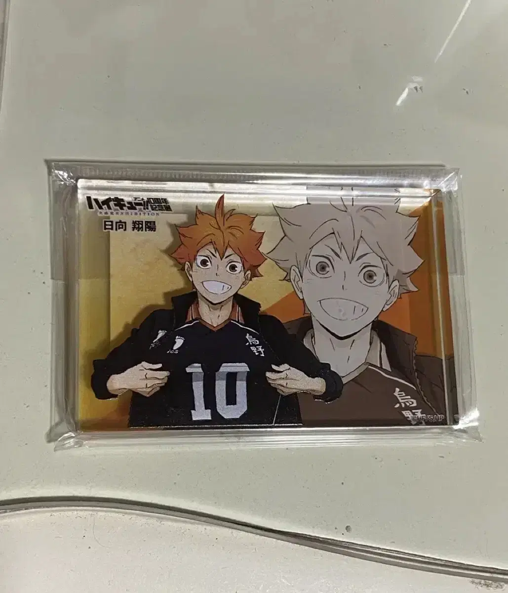 Haikyuu hinata acrylic block