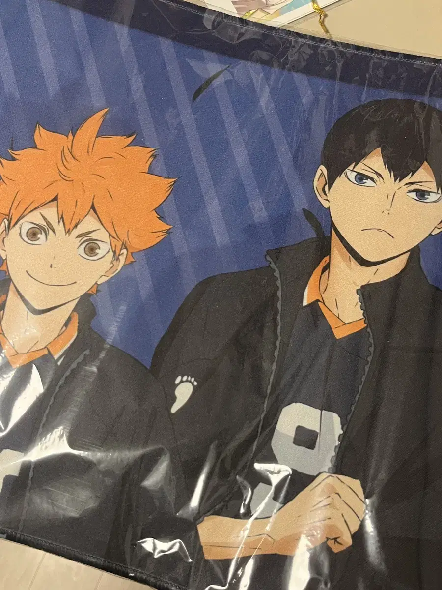 Haikyuu New World pop up hinata Kageyama Jangpad