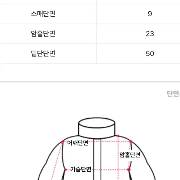 빅사이즈 투웨이 카라 집업 (GRAY)