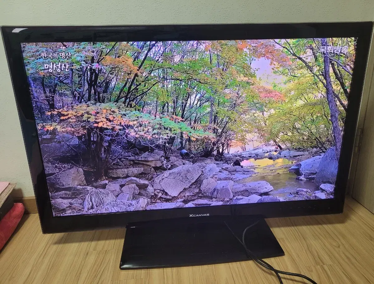 LG 42인치 LED TV