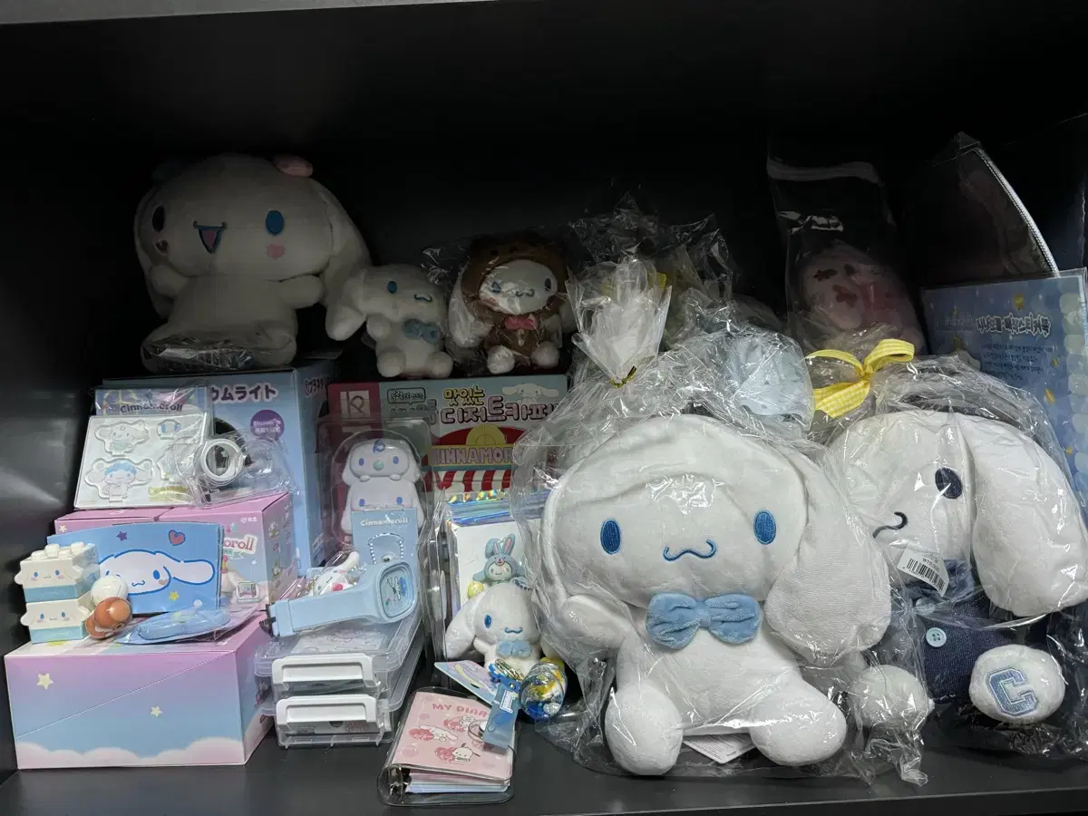 Cinnamoroll bulk Disposition