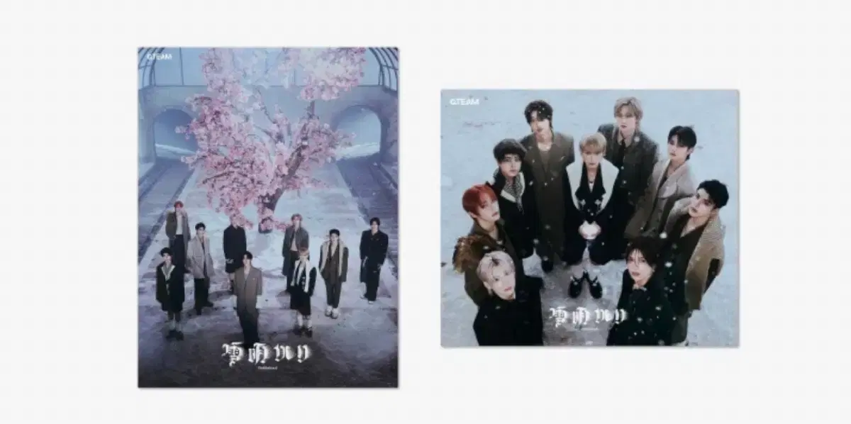 &team yukiakari limited solo standard album WTS