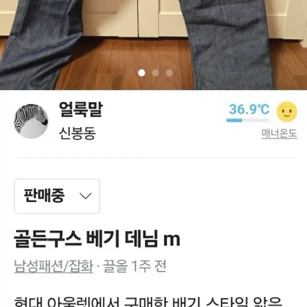 골든구스 배기진