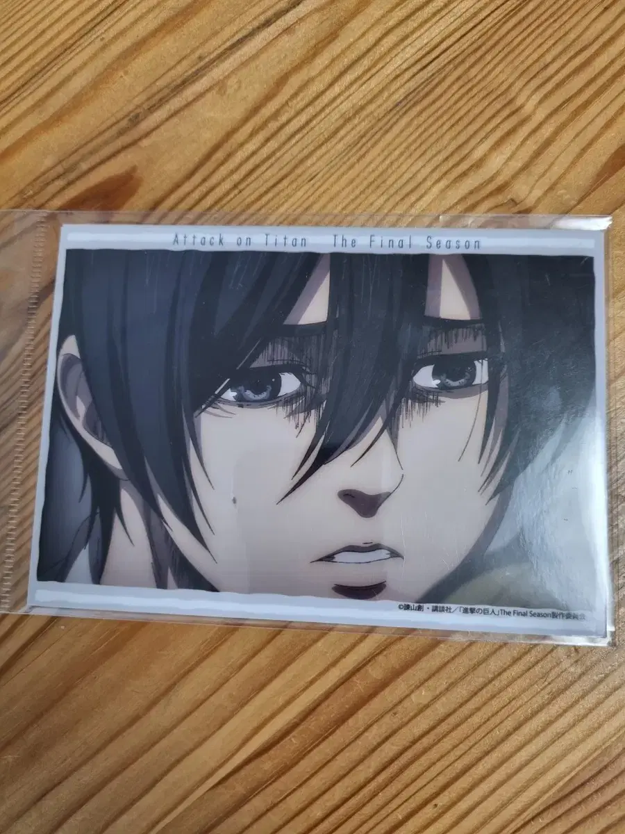 (Sell) Attack on Titan/Mikasa/Postcard