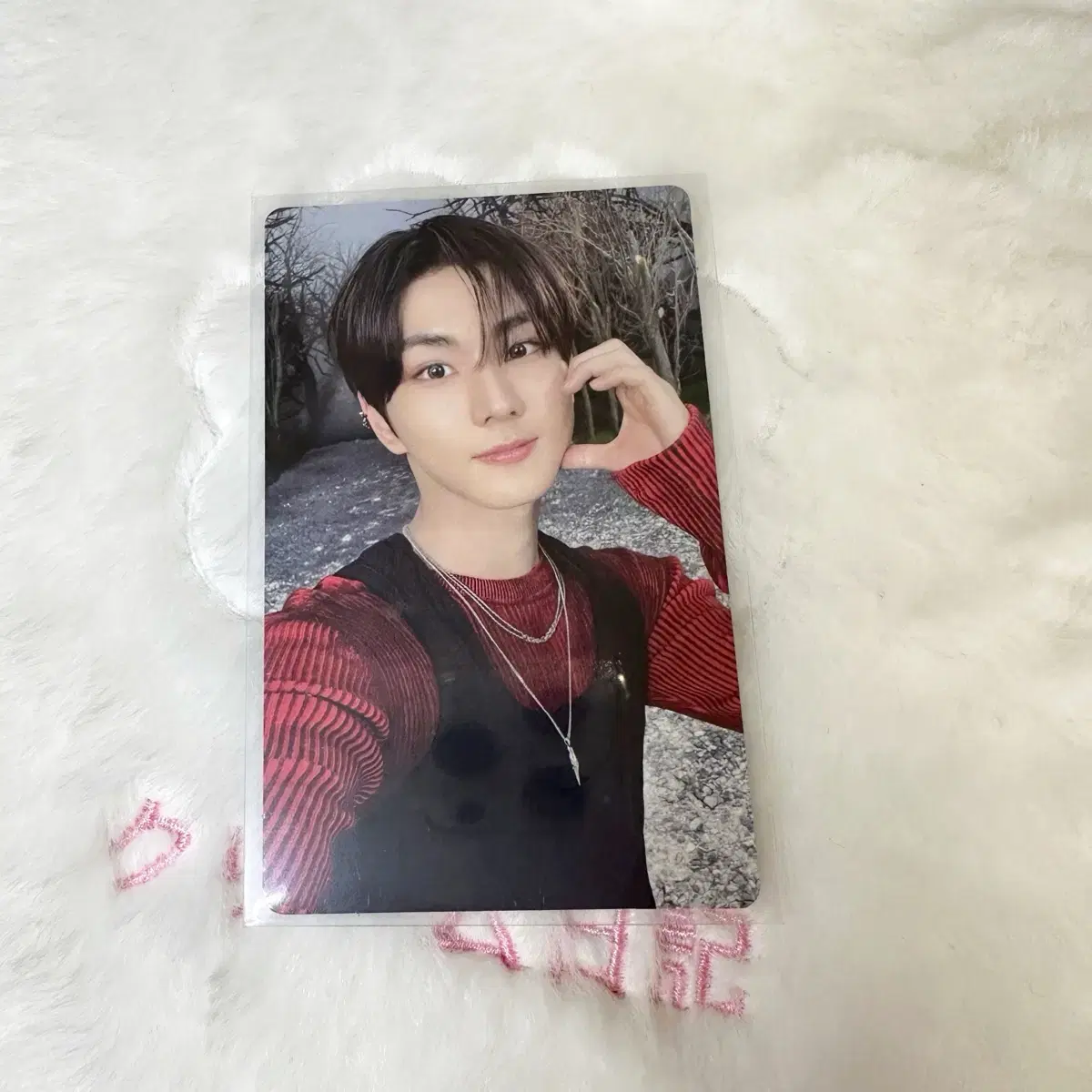 enhypen jungwon yang jungwon photocard wts