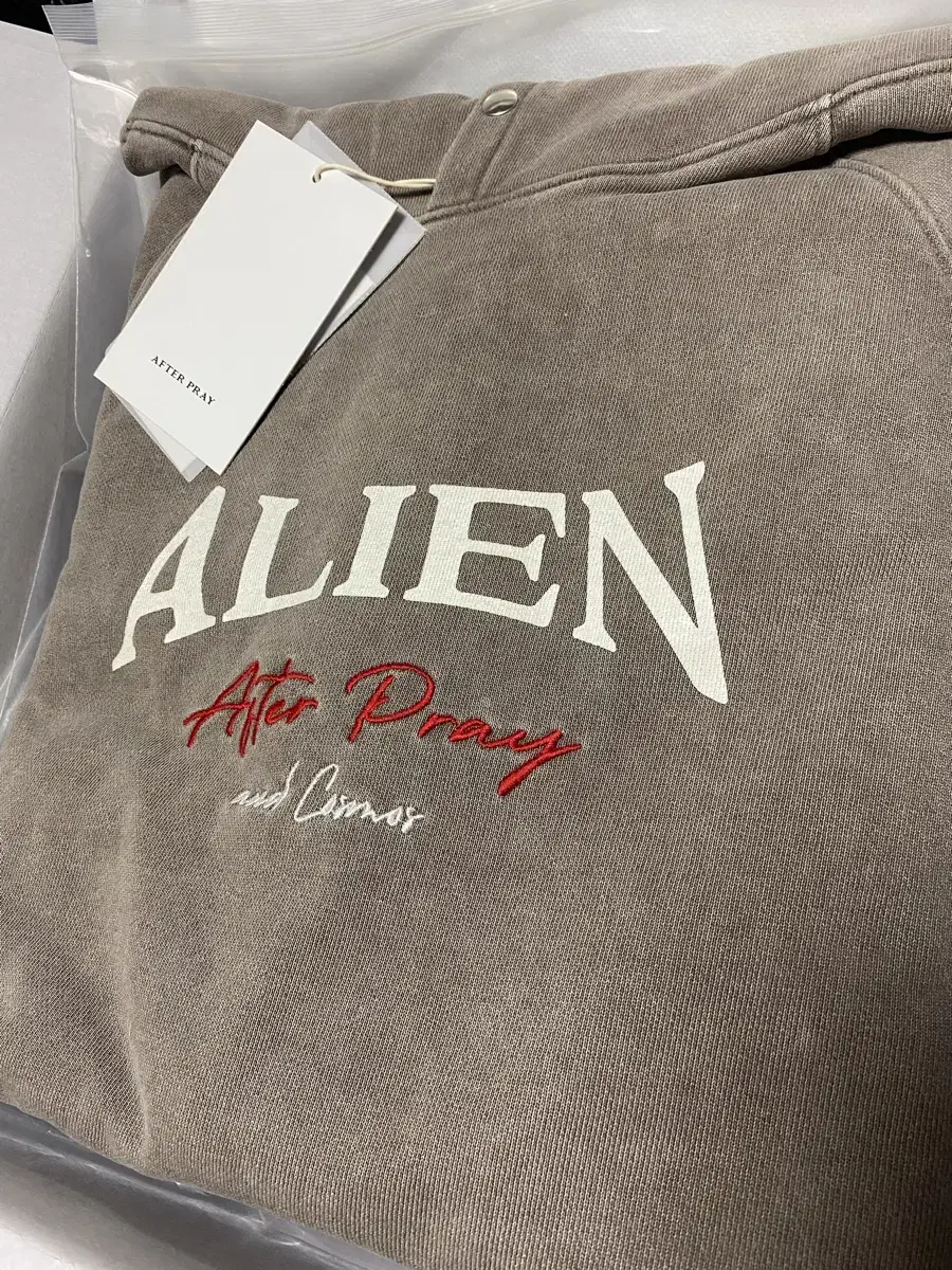 Afterpray Alien Hoodie L