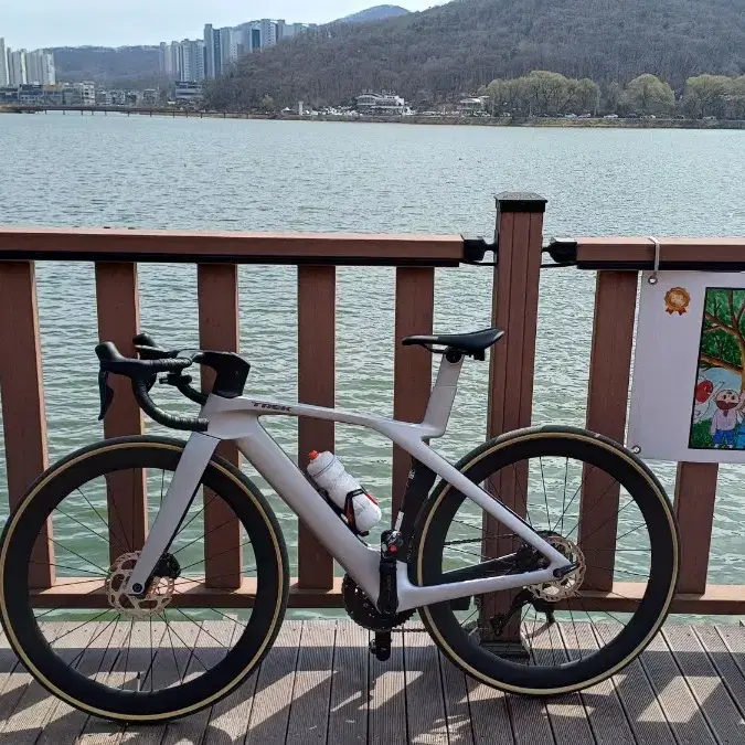 TREK 마돈 7세대(PROJECTONE)