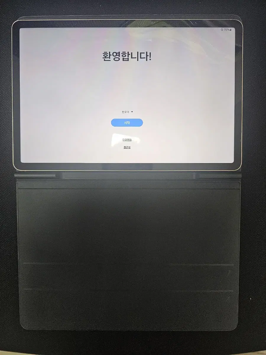 갤럭시탭 S8 128gb 5G 자급제(정품케이스+스테들러+사파리구형)