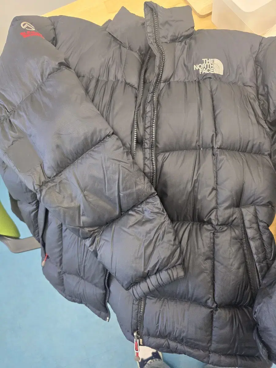 The North Face Roche 100