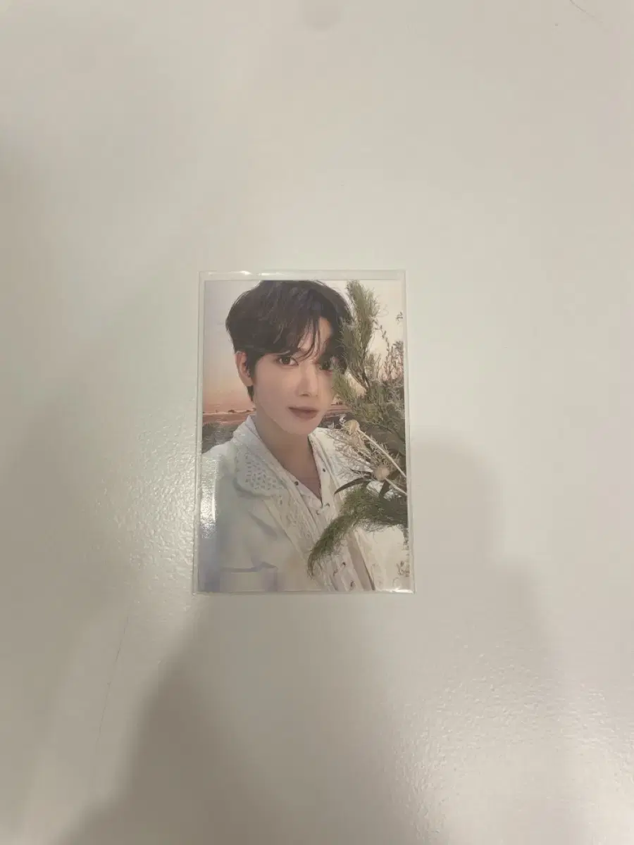 Tubatu Ancon TaehyunPhotocard