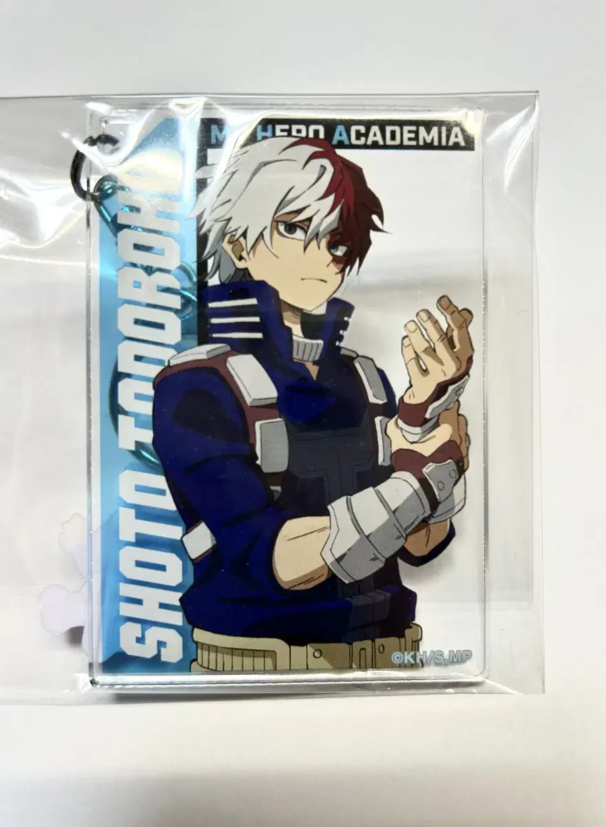 Hiroaka Todoroki acrylic Keyring